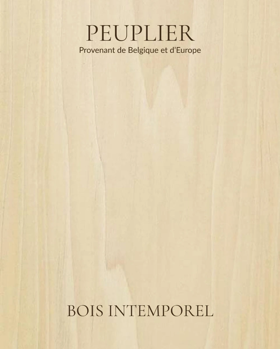 peuplier - bois intemporel