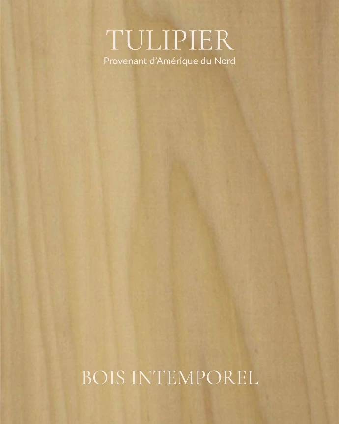 Tulipier-bois-intemporel