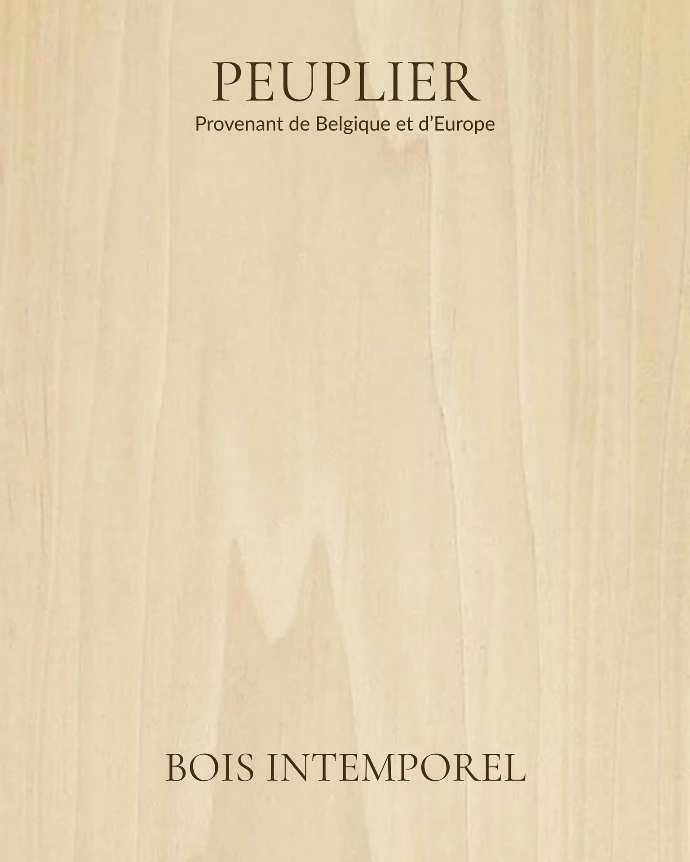 Peuplier-bois-intemporel