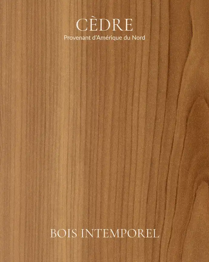 Cedre-bois-intemporel