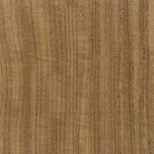 Afrormosia - bois intemporel
