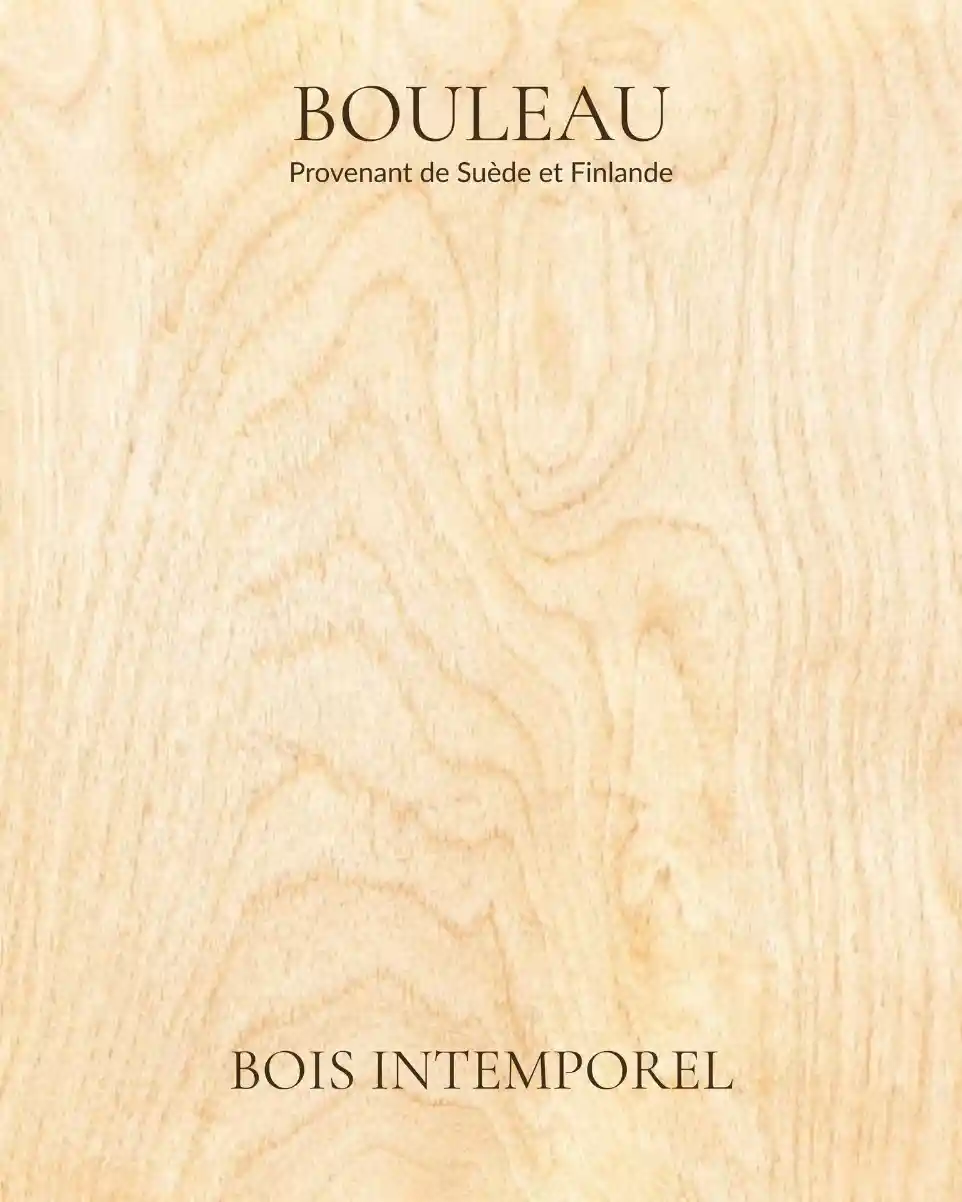 Bouleau - Bois intemporel