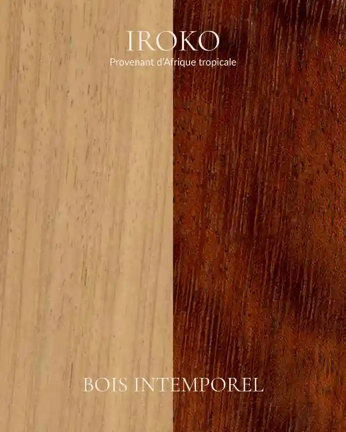 Iroko - Bois Intemporel