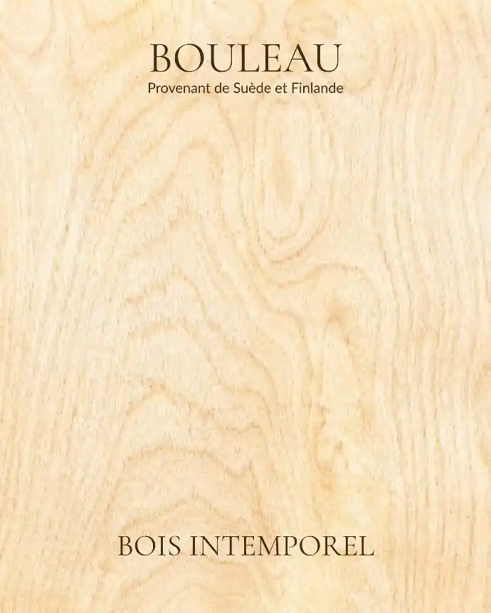 Bouleau - Bois Intemporel