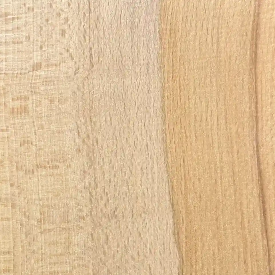Hêtre - Bois Intemporel
