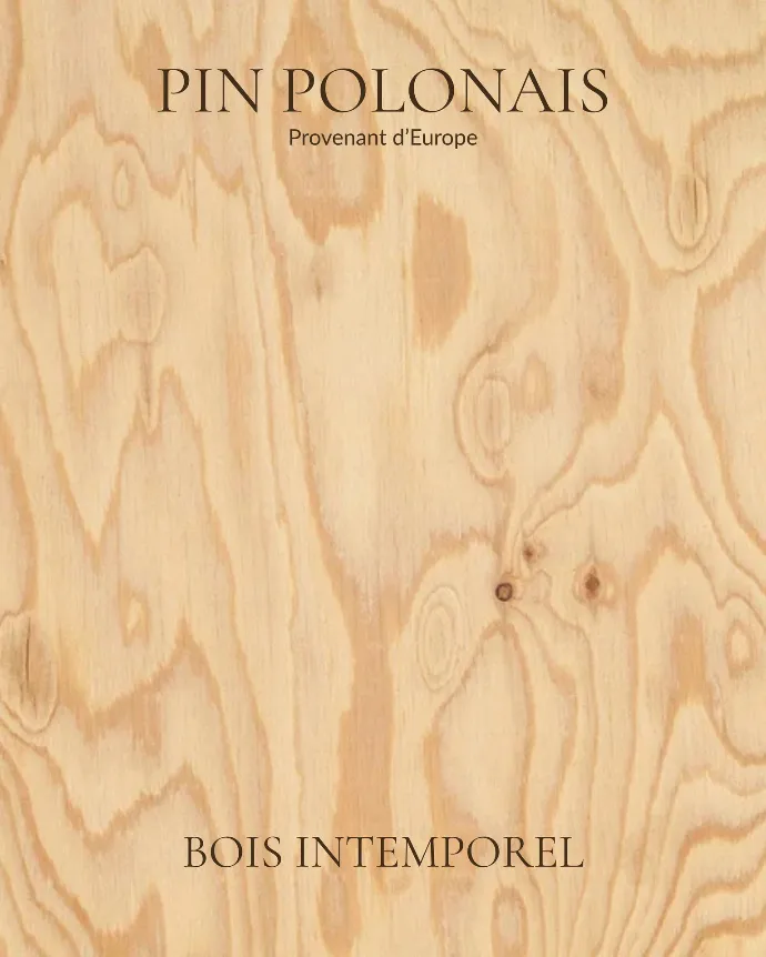 pin polonais - bois intemporel