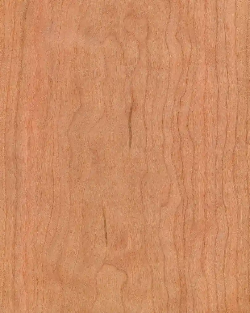 merisier - bois intemporel