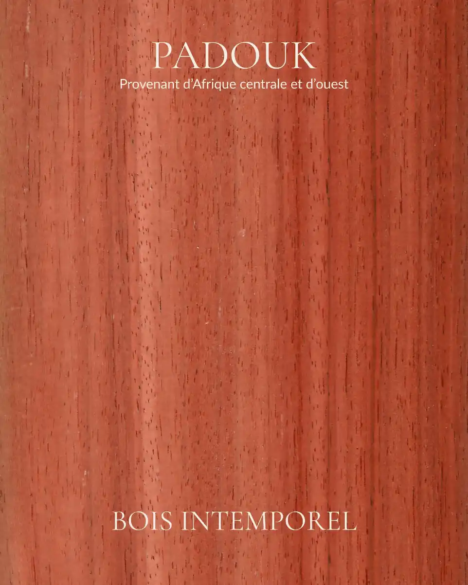 padouk - bois intemporel