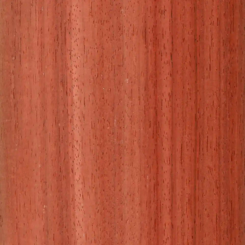 padouk - bois intemporel