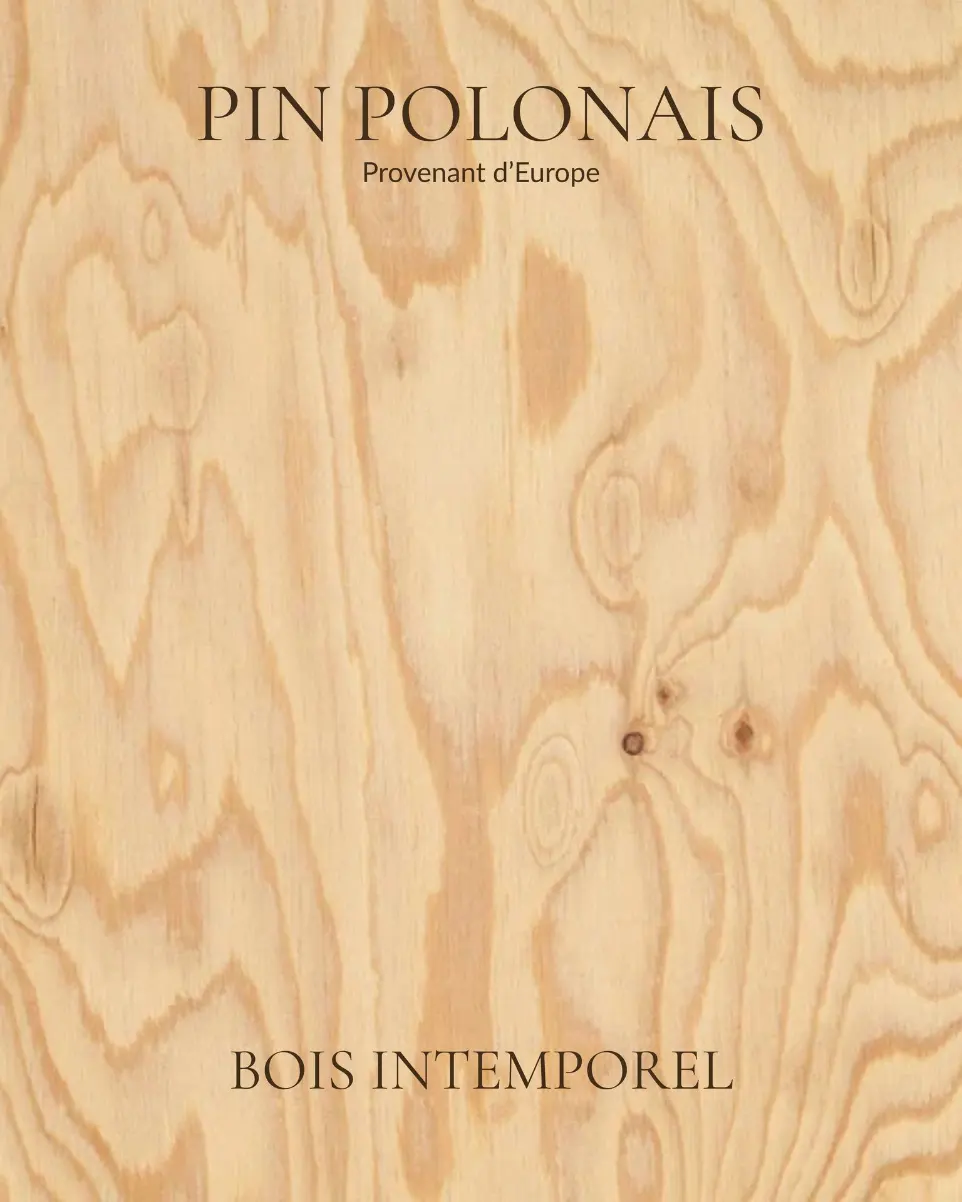 pin polonais - bois intemporel