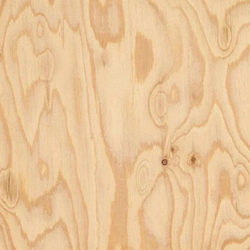 pin polonais - bois intemporel