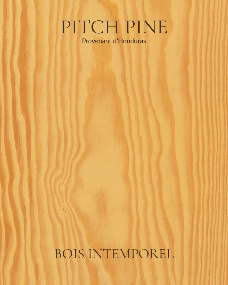 pitch pine - bois intemporel