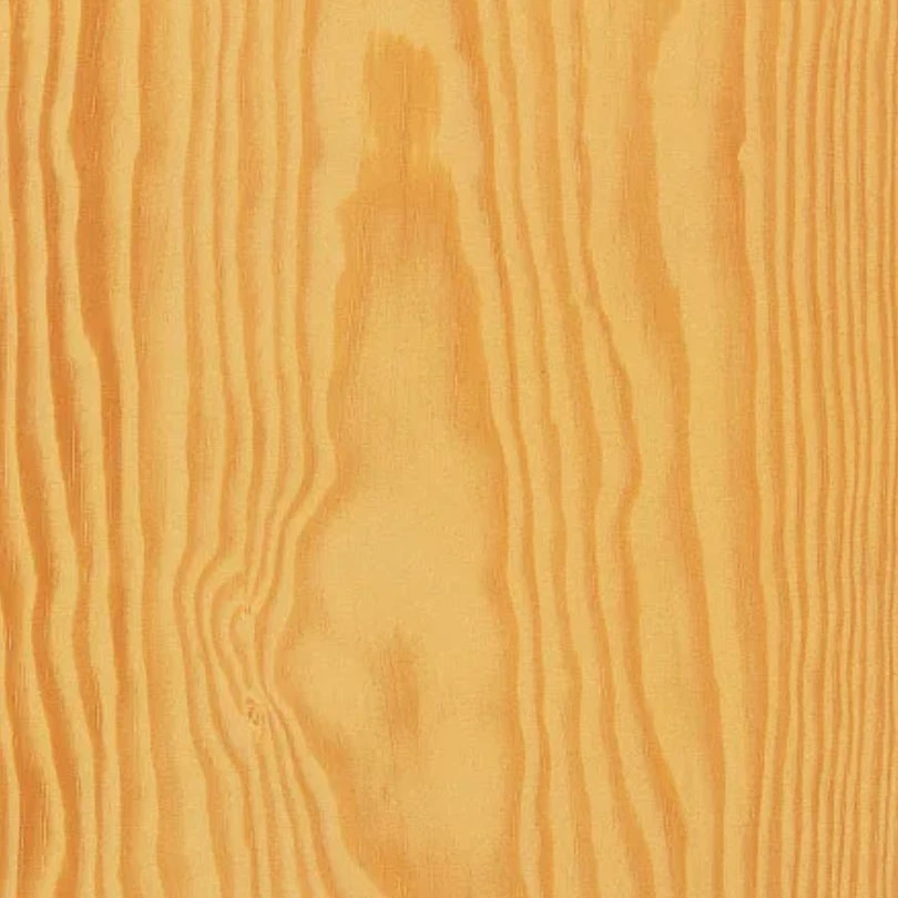 pitch pine - bois intemporel