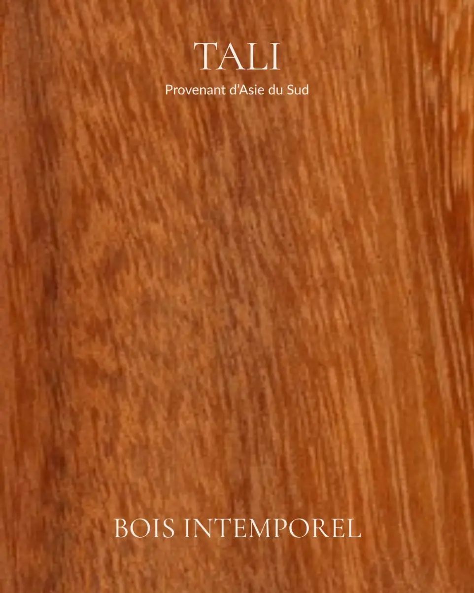 tali - bois intemporel
