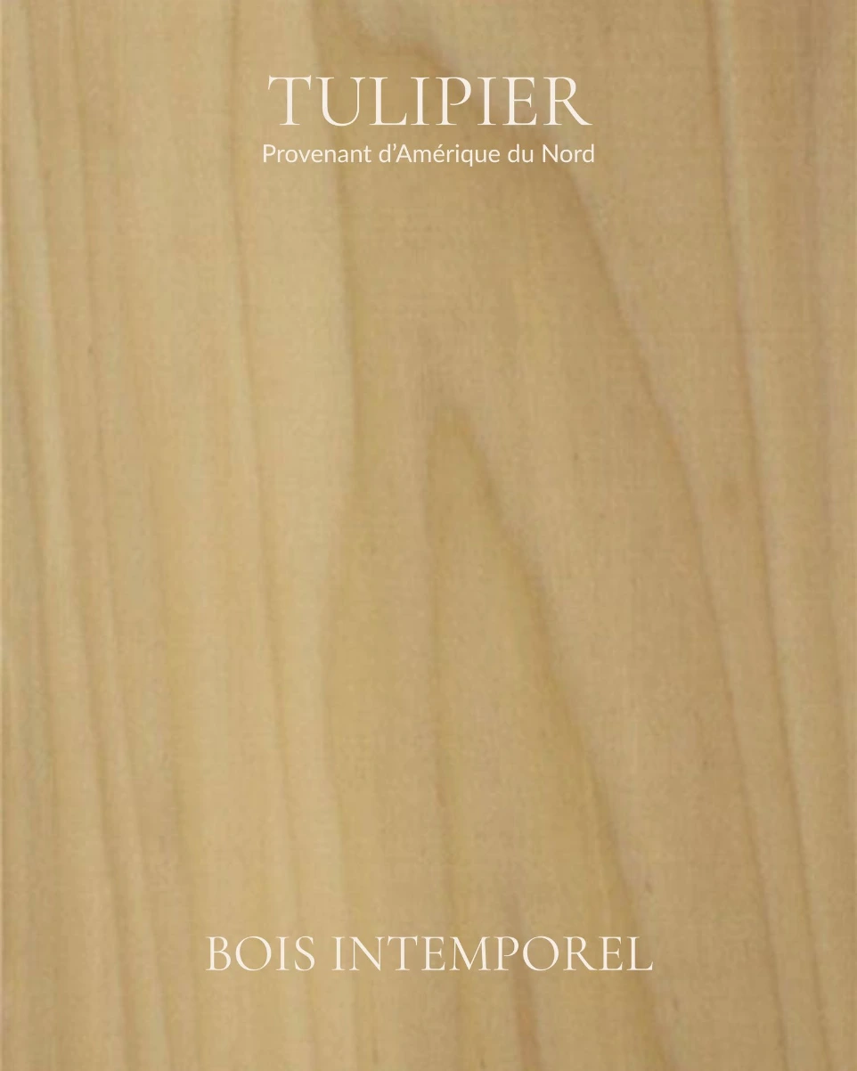 tulipier - bois intemporel