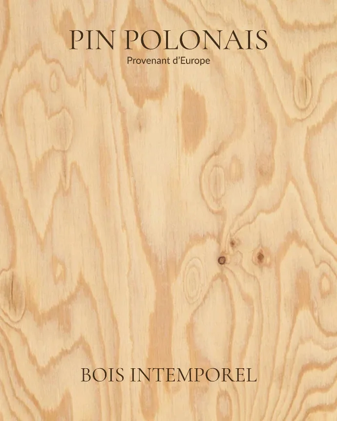pin polonais - bois intemporel