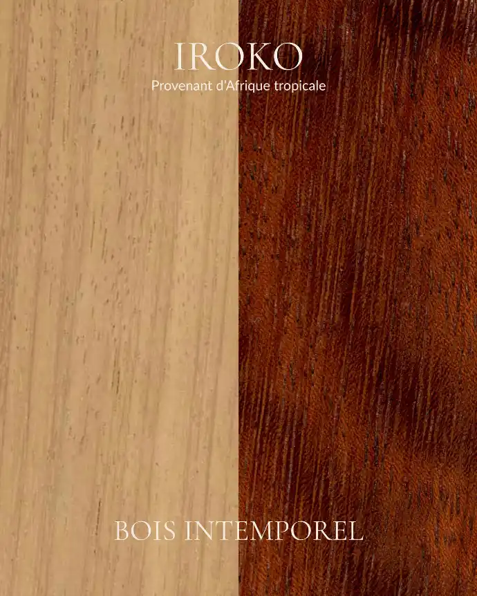 Iroko - Bois Intemporel