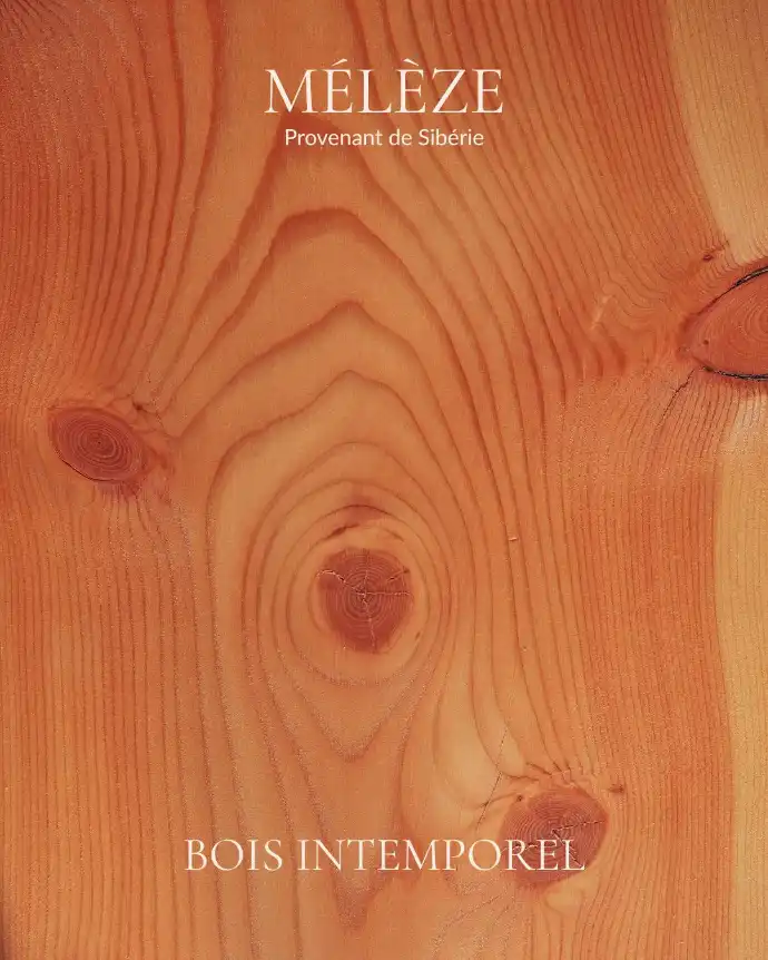 Mélèze - Bois Intemporel